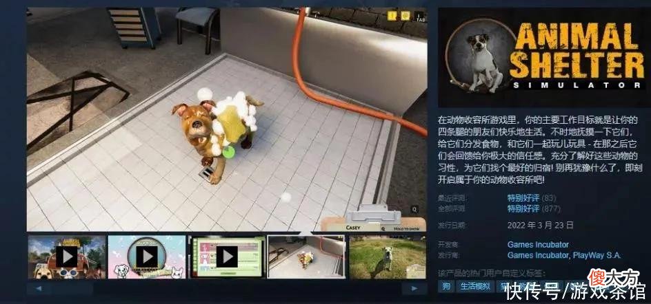 【游戏世界】猫猫流浪模拟器《Stray》火了，萌宠类游戏大盘点，腾讯也入局