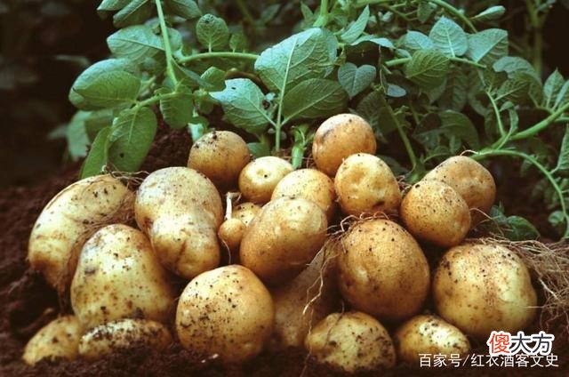 1978年，一家人流亡西伯利亚，隐居42年，和外界接触后却接连死亡
