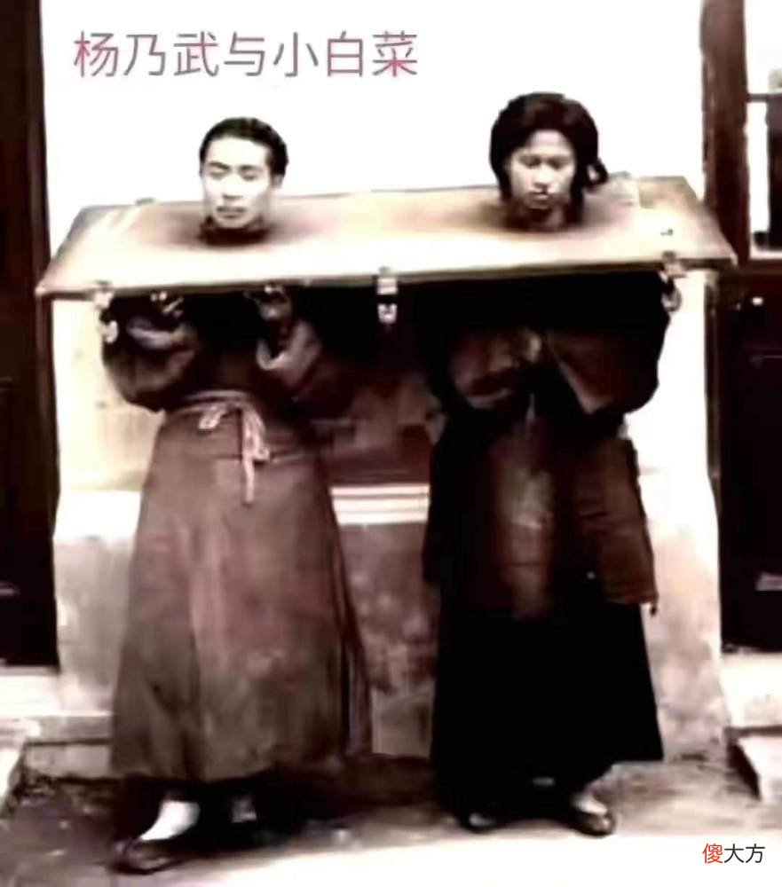 【爱历史】1876年，杨乃武与小白菜冤案被慈禧平反后，二人的后半生截然不同