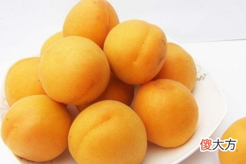 女人梦见吃杏子
