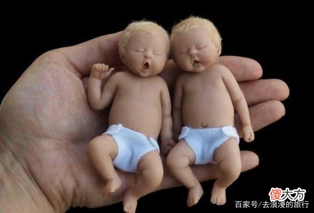 国外的袖珍“萌娃”，一个手掌便能捧起5个来，网友直呼太可爱了