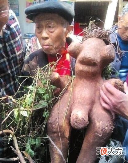 小伙工地上挖到千年“人形怪物”