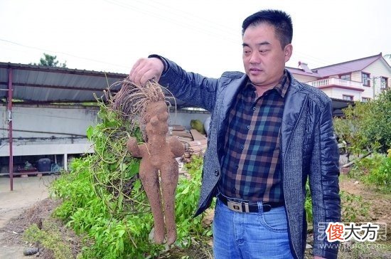 小伙工地上挖到千年“人形怪物”