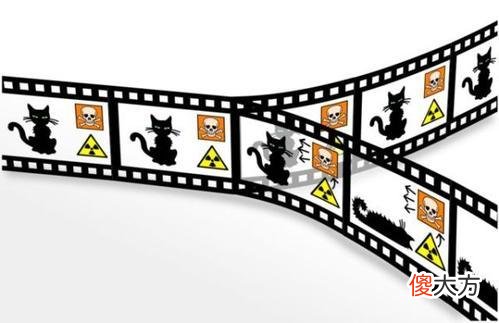 破解物理学四大神兽之薛定谔的猫悖论