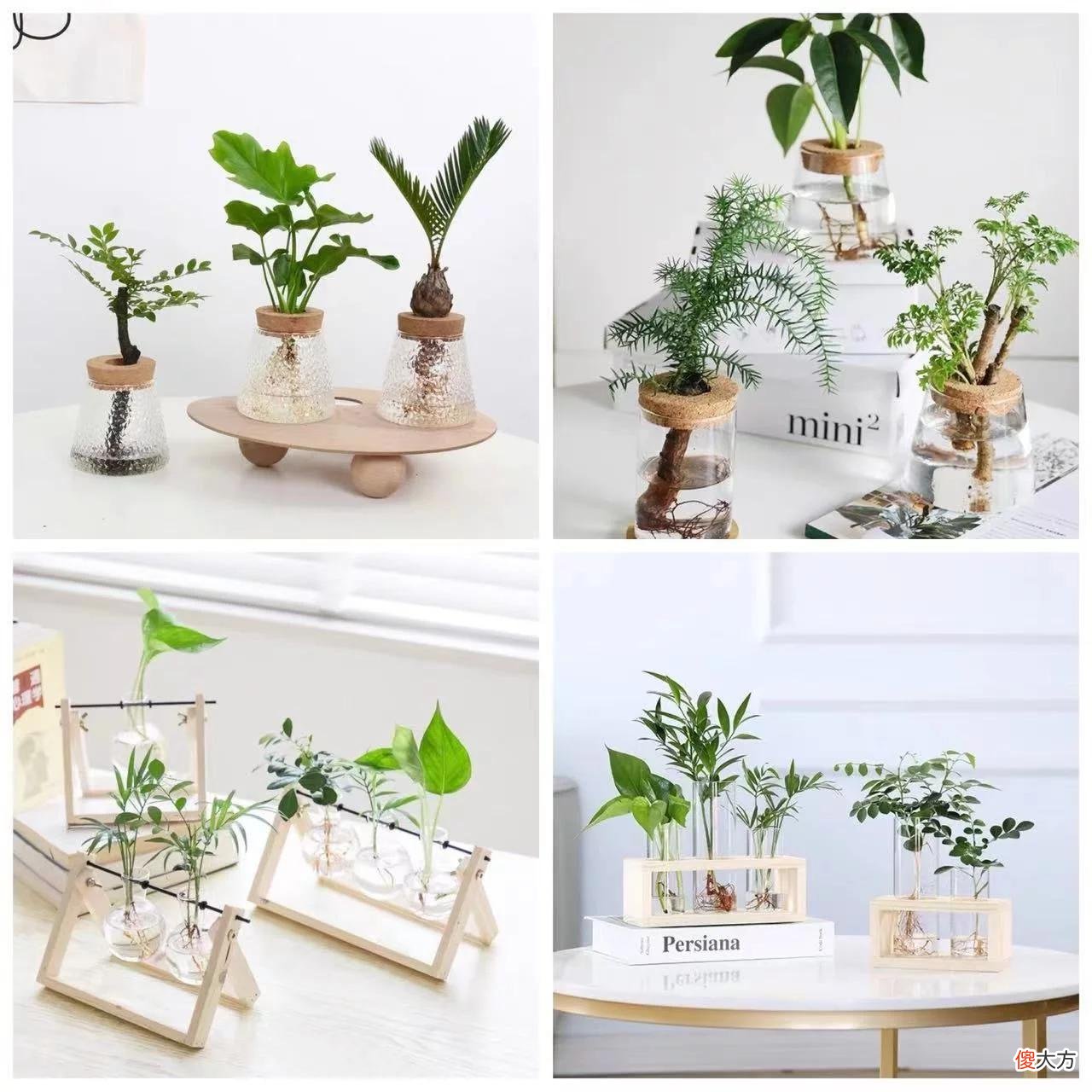 【就爱时尚】【夏日职场】和干燥肌肤说拜拜！夏日补水保湿，办公室空调族有秘笈