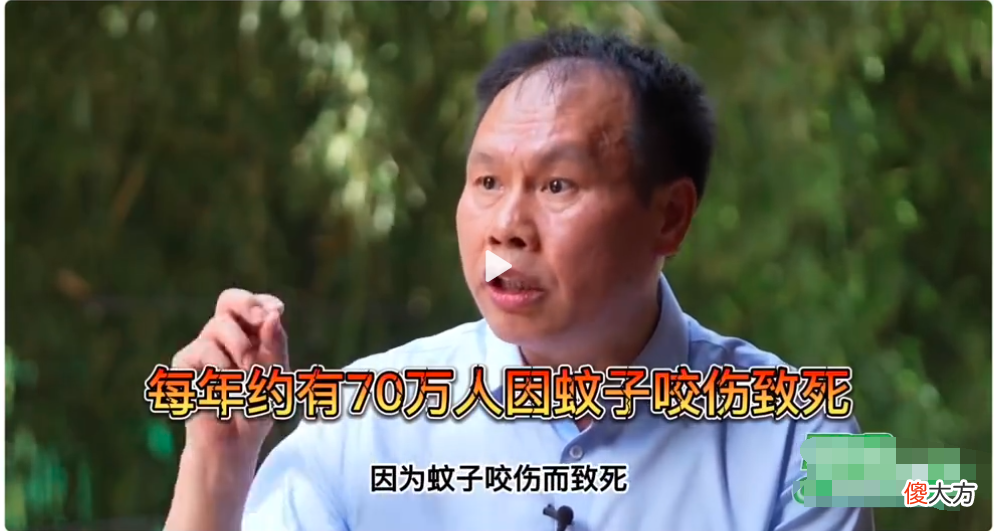 孩子被蚊子叮咬，妈妈两个动作避免娃皮肤肿痛，医生：做得对