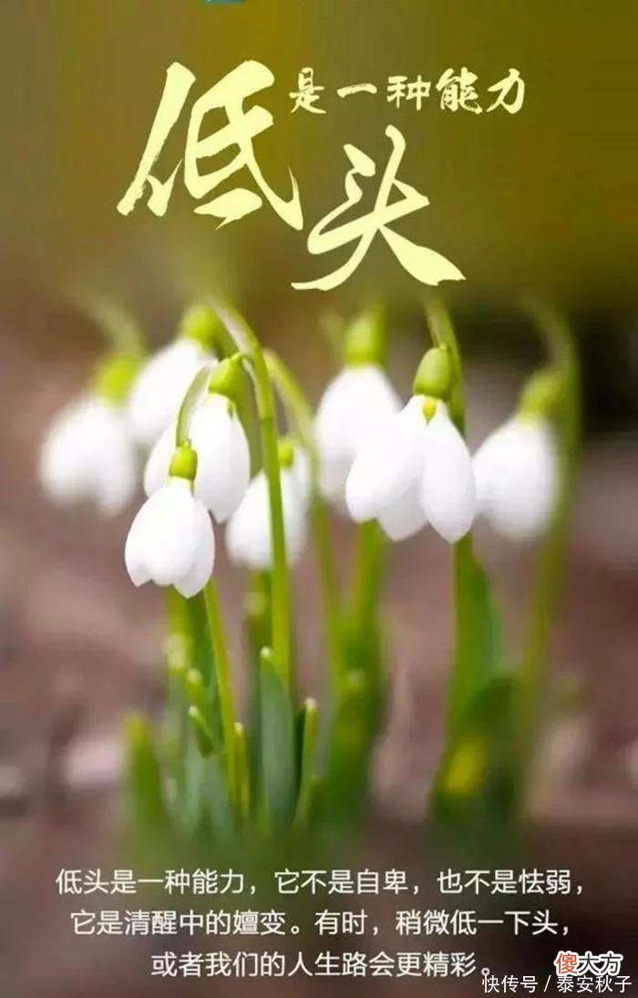 【就爱时尚】中年“大姐”为何如此会穿？不化浓妆、不穿名牌，还能优雅高级