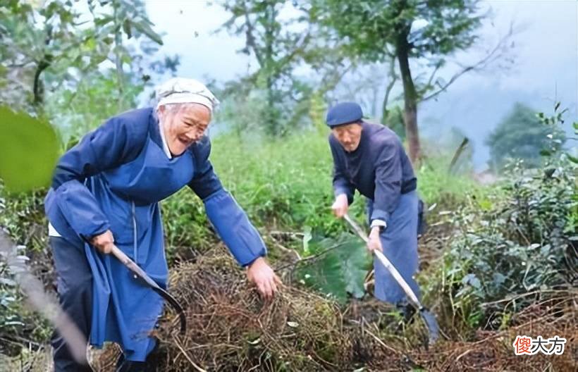 【历史故事】为什么古代的土地，普通人不能开荒？