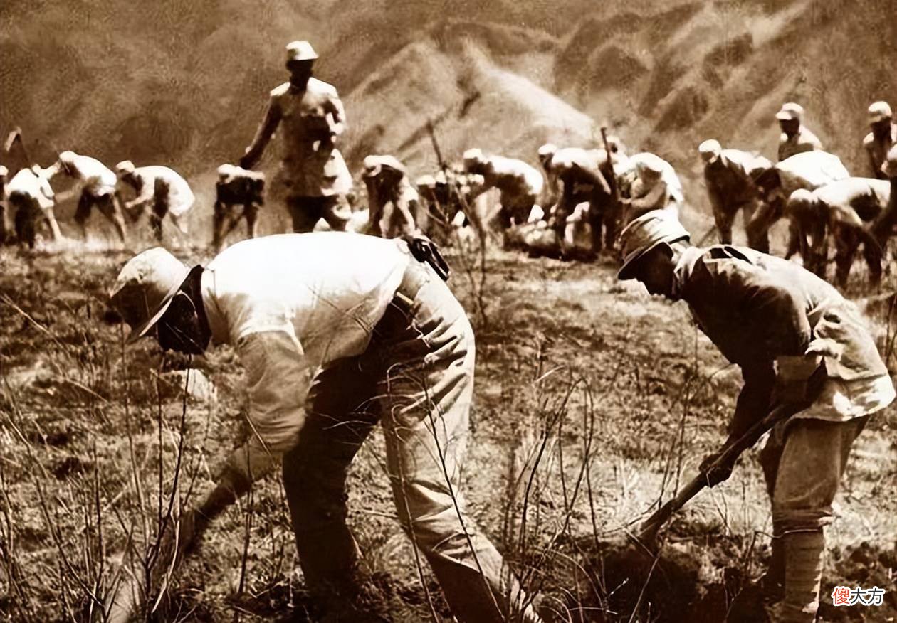 【历史故事】为什么古代的土地，普通人不能开荒？