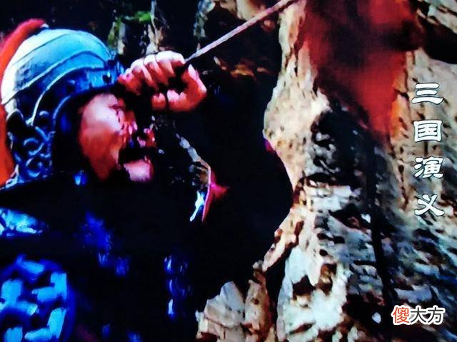 【爱历史】《三国演义》中姜维杀死郭淮的真正原因是什么？