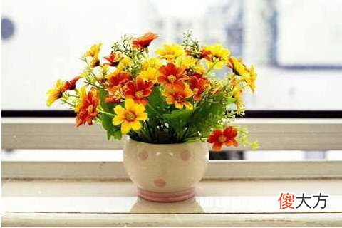 梦见漂亮的花