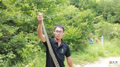 【游戏迷】人类荒岛大战上古巨蟒·命悬一线·毫无生还可能