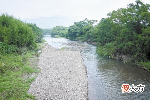梦见路上全是水