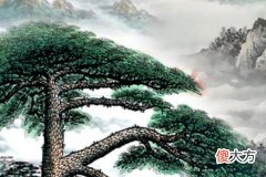 2022鼠人情感运势 属鼠人2022年运势