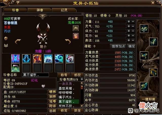 【游戏世界】天龙八部：85级宝宝收藏家，一身极品宝宝，价值1个5级号