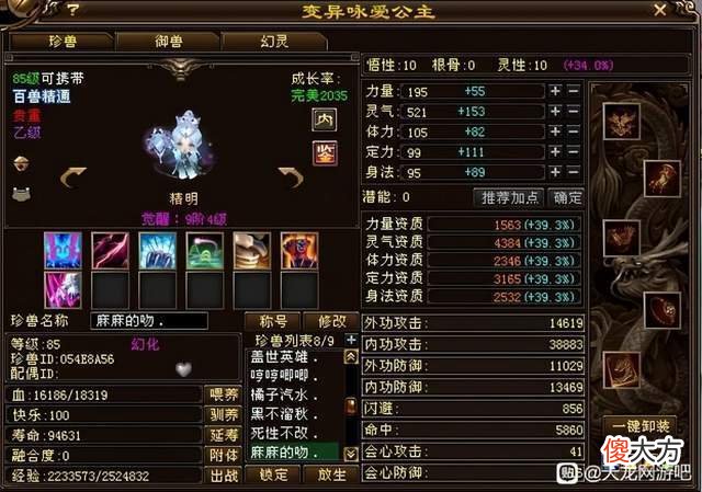 【游戏世界】天龙八部：85级宝宝收藏家，一身极品宝宝，价值1个5级号