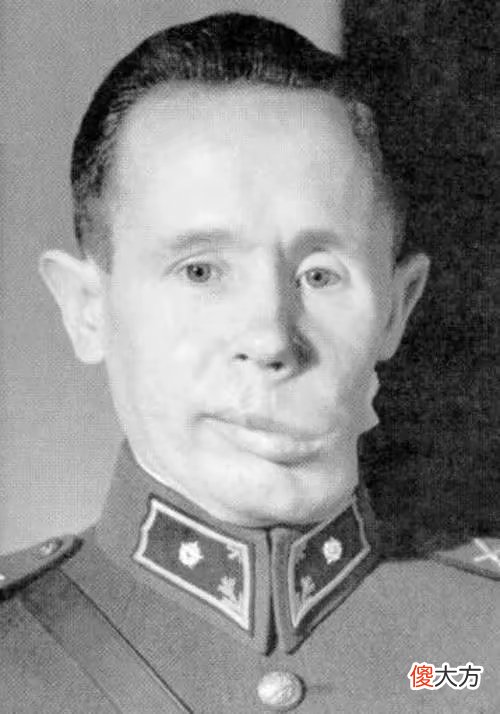 【爱历史】西蒙海耶成为第一狙击手，不仅因为枪法好，更是占尽天时地利
