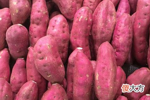 梦见买红薯
