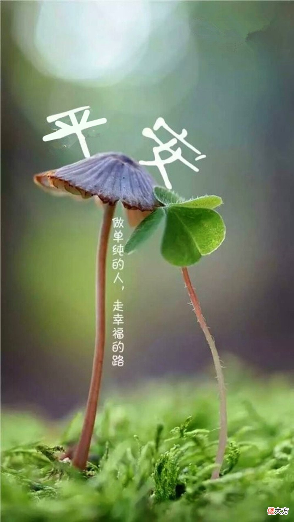 【就爱时尚】太惊艳了！“日常款＋单鞋”：被50岁＋的她，穿出了“高级感”！