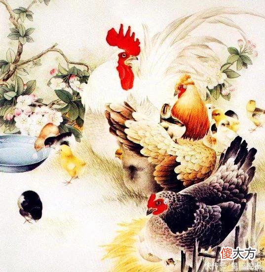 【星座控】今年下半年，3生肖一路走高，风生水起，收入水平越来越好