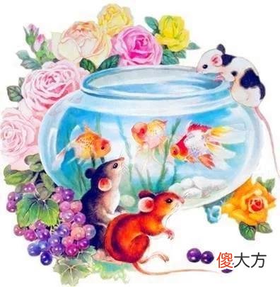 【星座控】八月上旬，4生肖不见困难，远离烦心，抓住机遇赚大钱