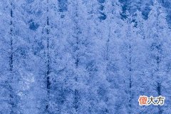 梦到地上很厚的雪