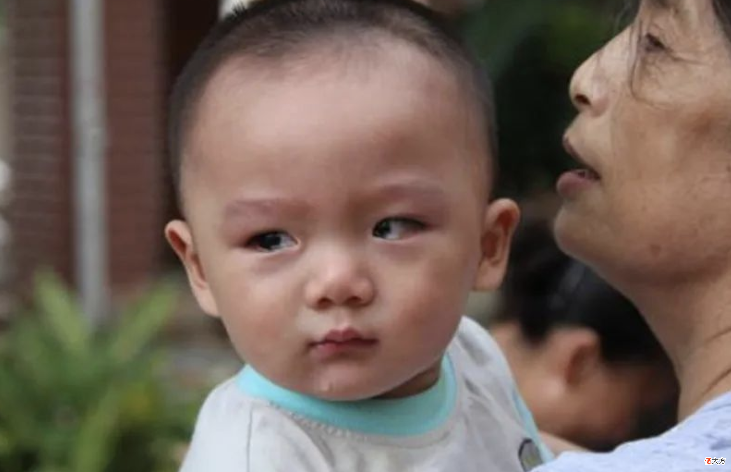 孩子为啥见到“某人”突然大哭？老人可能不懂，但家长要心中有数