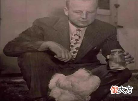 无头鸡麦克：头被砍掉仍活18个月，举行巡演，主人靠此大发横财