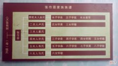 【历史故事】1988年，一位80岁老妇临终前对儿子说：“你是张大帅第9个儿子”