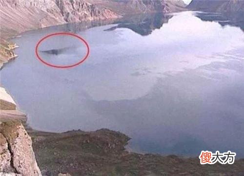 百年现身3次的“水怪”,却在鲸鱼肚子里找到,被证实是真实存在