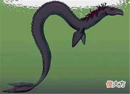 百年现身3次的“水怪”,却在鲸鱼肚子里找到,被证实是真实存在