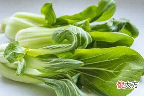 梦见吃青菜