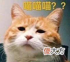 【游戏世界】区块链也要薅二次元的羊毛？韩国政府做担保，已获500万美元投资