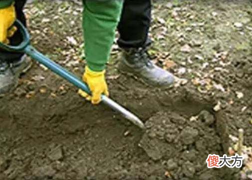 神奇小男孩找出自己前世被谋杀的骸骨，居然还挖出了作案凶器