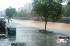 梦见雨水成河