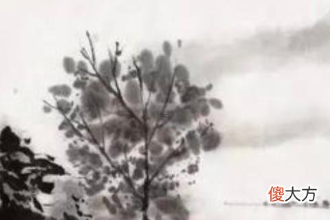 属兔跟什么属相不合 属兔的跟什么属相犯冲