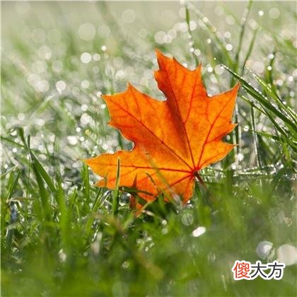 梦见自己死去的妈妈