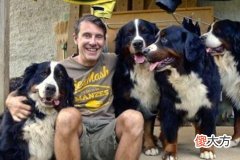 梦见好多狗围着我