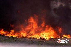 梦到失火并成功救火了
