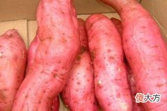 梦见吃烤红薯