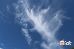 梦见天上有龙在飞