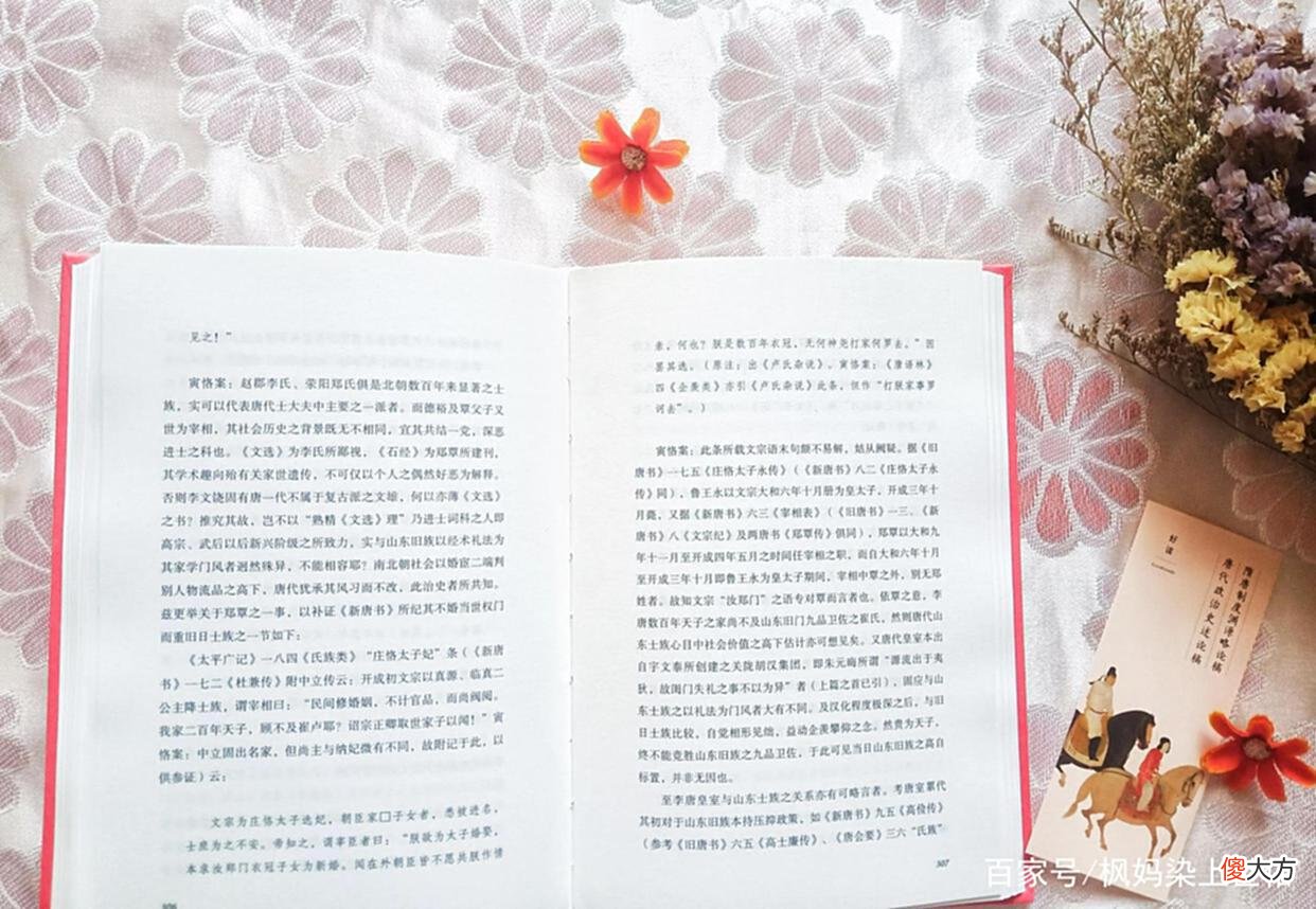 【历史故事】隋唐史经典之作，陈寅恪先生追本溯源，讲述唐朝政治及其演变过程