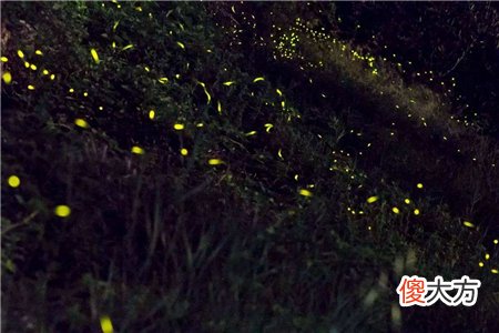 全球“神秘”的2大现象，每种都真实存在，科学家也难以解释