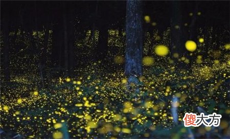 全球“神秘”的2大现象，每种都真实存在，科学家也难以解释
