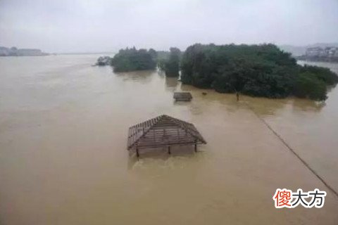 梦见大水冲倒房屋