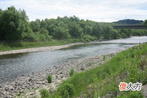 梦见河道没水
