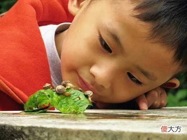 孩子越聪明越不好带？你家娃若有这3种特征，父母就偷笑吧