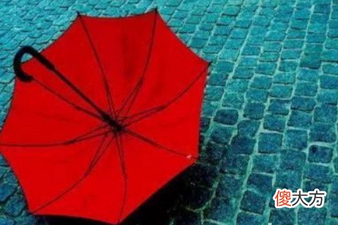 梦见雨伞坏了