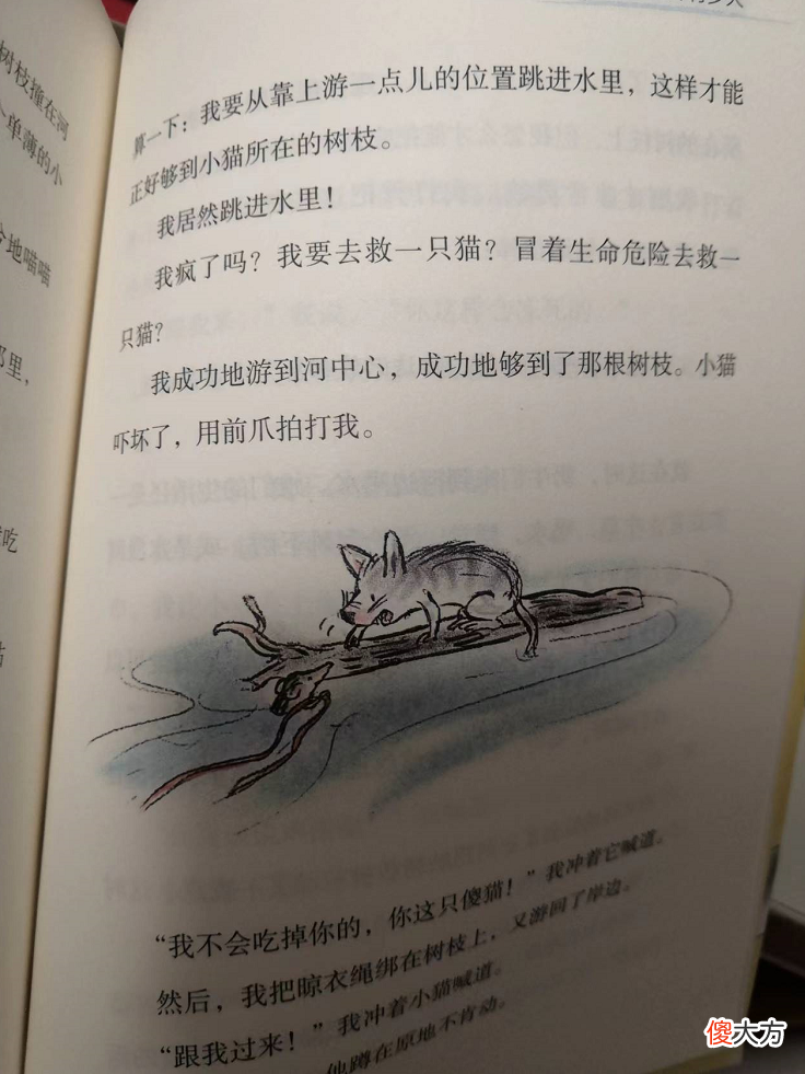 暑假过半，娃都看了什么书？