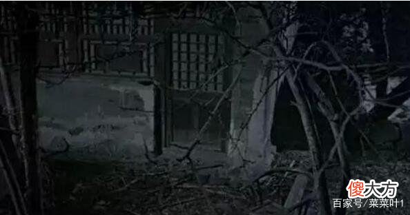 1987夜狸猫事件未解之谜：一夜之间离奇消失的村庄